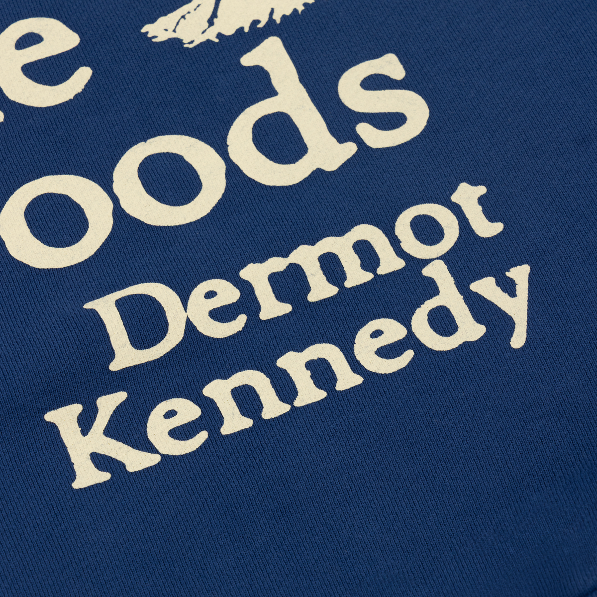 Dermot Kennedy - The Weight of the Woods Hoodie
