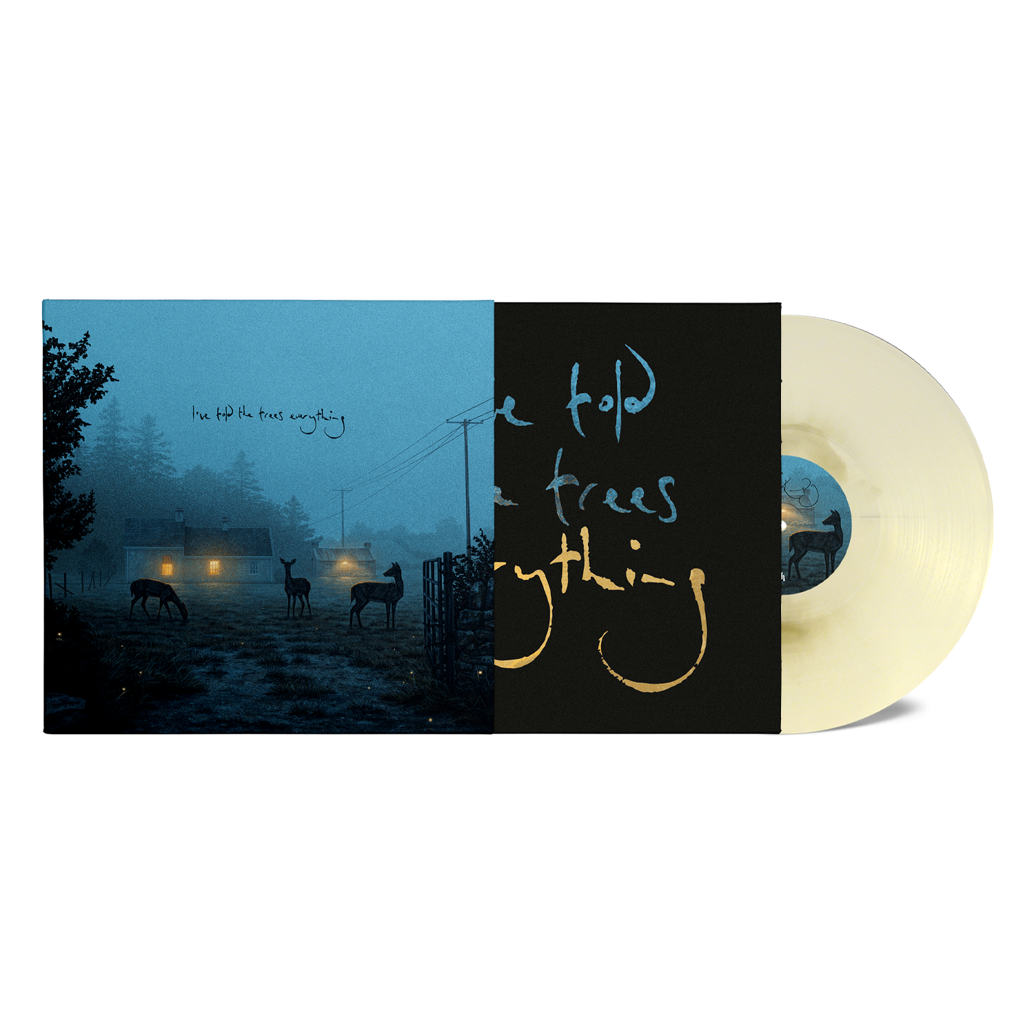Dermot Kennedy - I've told the trees everything: Limited Edition Marble Vinyl