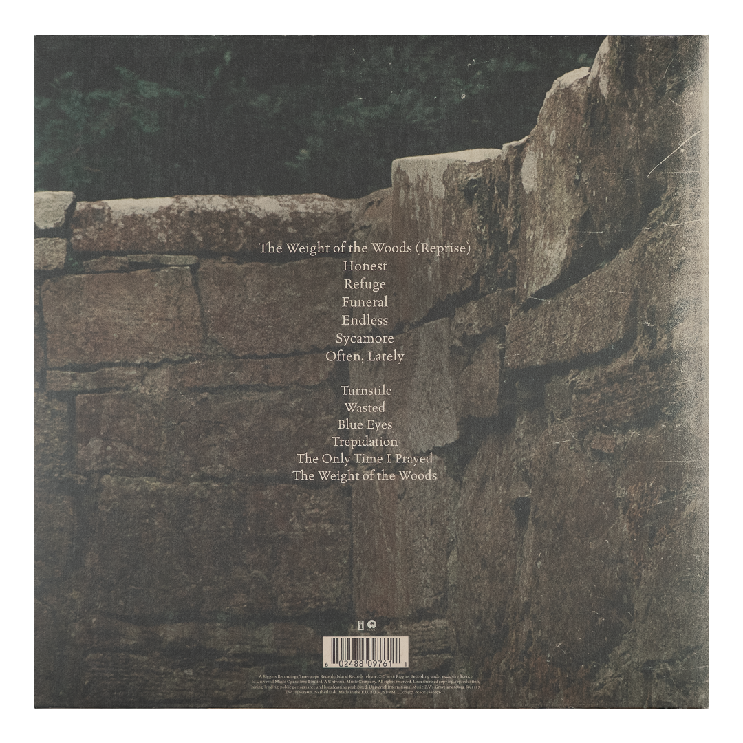 Dermot Kennedy - The Weight of the Woods: ‘Saints & Stones’ Exclusive Marble LP