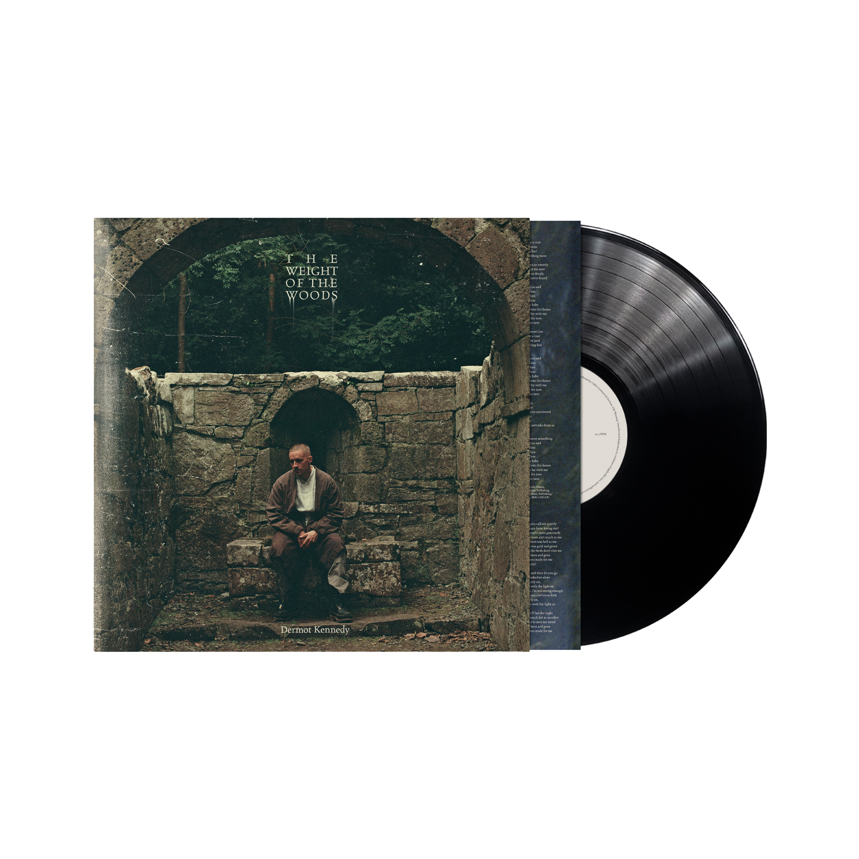 Dermot Kennedy - The Weight Of The Woods: Recycled Black LP