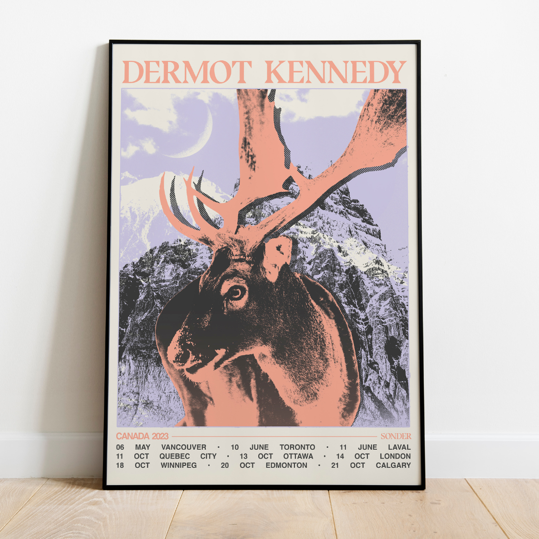 Dermot Kennedy - Sonder Tour: Canada Tour Screen Print